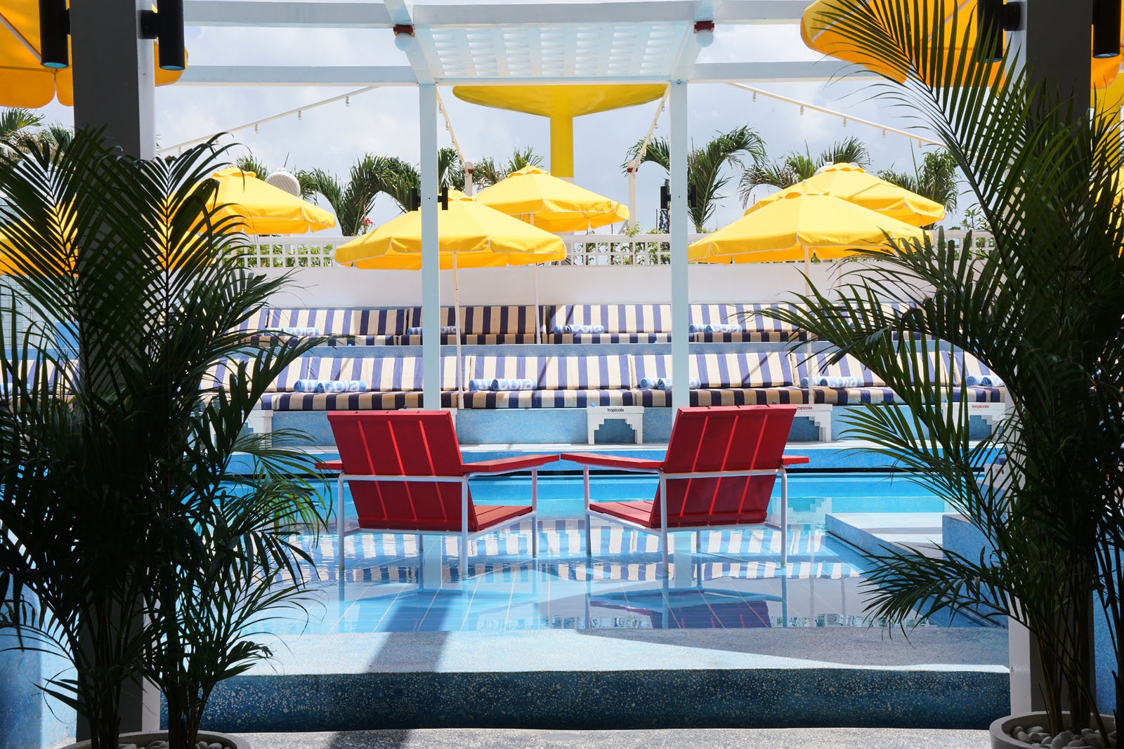 Tropicola - Beach Club in Bali - Bali Architect - Interior Design - Swimming Pool